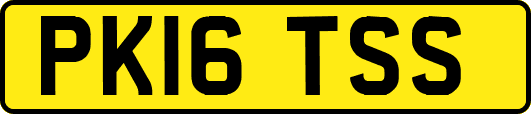 PK16TSS