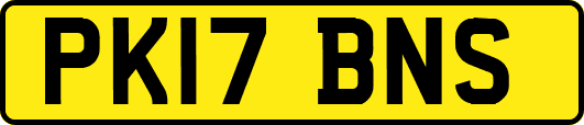 PK17BNS