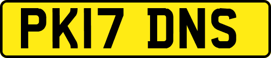 PK17DNS