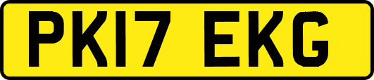 PK17EKG