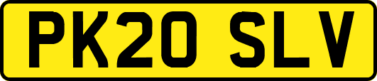 PK20SLV