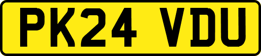 PK24VDU