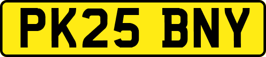 PK25BNY