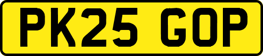 PK25GOP