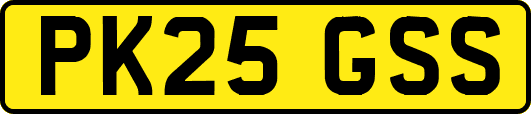 PK25GSS