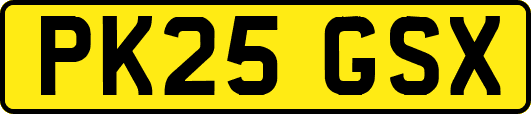 PK25GSX