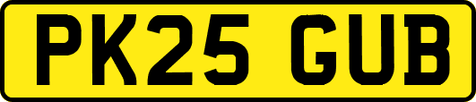 PK25GUB