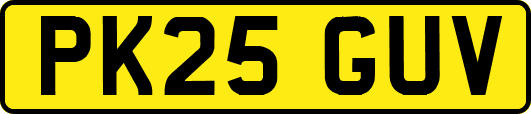 PK25GUV