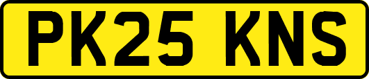 PK25KNS