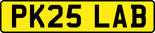PK25LAB