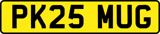 PK25MUG