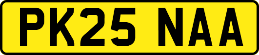 PK25NAA