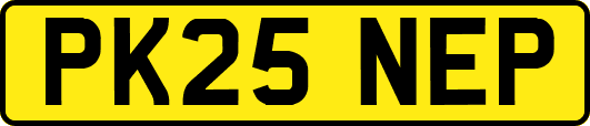 PK25NEP