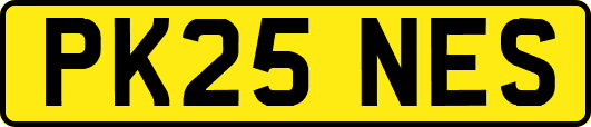 PK25NES