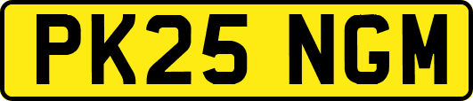 PK25NGM