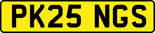 PK25NGS