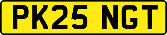 PK25NGT