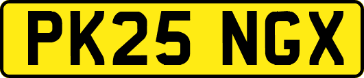 PK25NGX