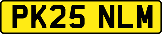 PK25NLM