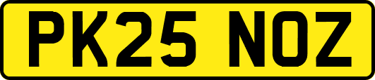 PK25NOZ