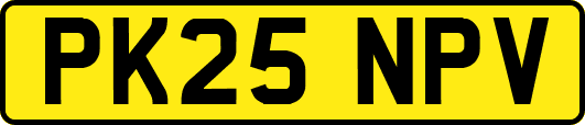 PK25NPV