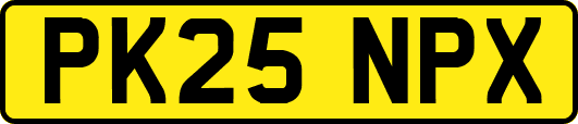 PK25NPX