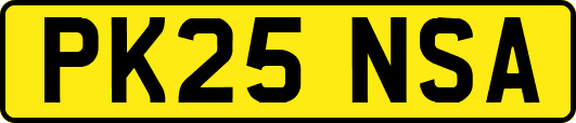 PK25NSA