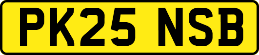 PK25NSB