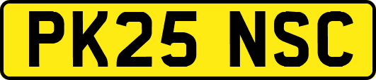 PK25NSC