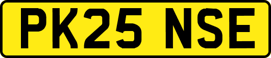 PK25NSE