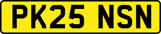 PK25NSN