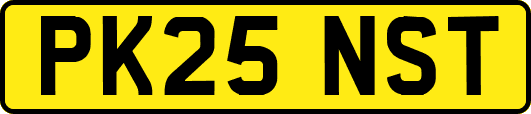 PK25NST
