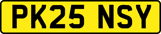 PK25NSY