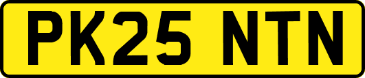 PK25NTN