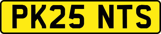 PK25NTS