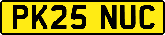 PK25NUC
