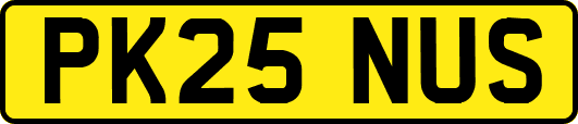 PK25NUS