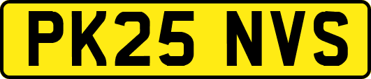 PK25NVS