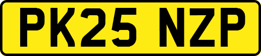 PK25NZP
