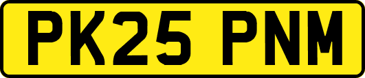 PK25PNM