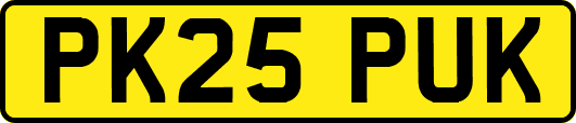 PK25PUK