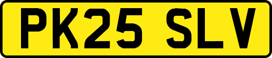 PK25SLV