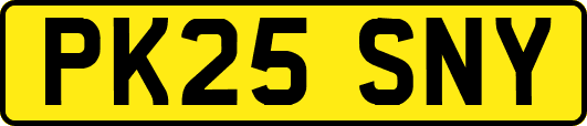 PK25SNY
