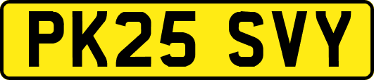 PK25SVY