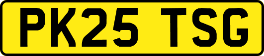 PK25TSG