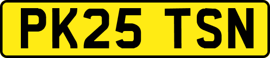 PK25TSN