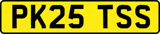 PK25TSS