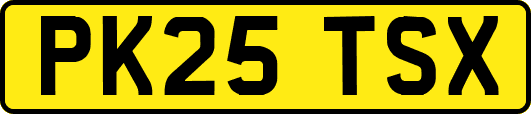 PK25TSX