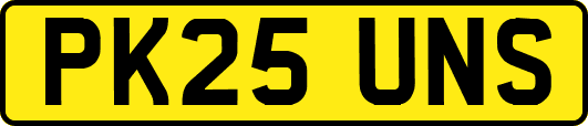PK25UNS
