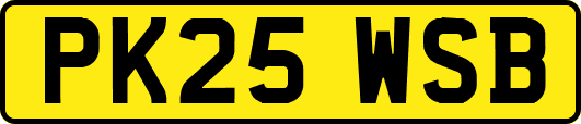 PK25WSB